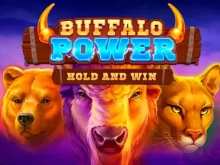Buffalo Power Hold N Win слот